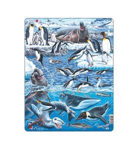 LARSEN FH48 - Животный мир Антарктики