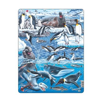 LARSEN FH48 - Животный мир Антарктики
