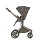 Детская коляска ANEX Flo 2in1 (SE-01) Cesar