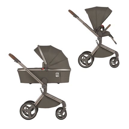Детская коляска ANEX Flo 2in1 (SE-01) Cesar