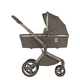 Детская коляска ANEX Flo 2in1 (SE-01) Cesar