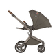 Детская коляска ANEX Flo 2in1 (SE-01) Cesar