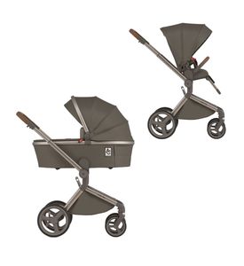Детская коляска ANEX Flo 2in1 (SE-01) Cesar