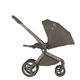 Детская коляска ANEX Flo 2in1 (SE-01) Cesar