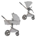 Детская коляска ANEX Flo 2in1 (fl-06c) Frossy