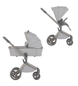 Детская коляска ANEX Flo 2in1 (fl-06c) Frossy