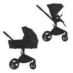 Детская коляска ANEX Flo 2in1 (fl-05c) Lungo