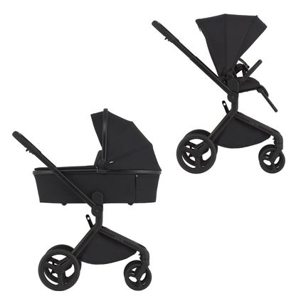 Детская коляска ANEX Flo 2in1 (fl-05c) Lungo