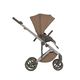 Коляска ANEX Eli 2in1 (el-07) Woody