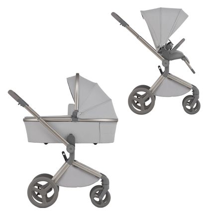 Детская коляска ANEX Flo 2in1 (fl-06c) Frossy