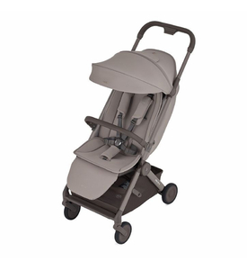 Детская коляска ANEX AIR-Q (AQ-07) Crumbly