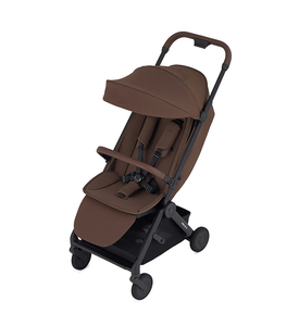 Детская коляска ANEX AIR-Q (AQ-04) Doppio