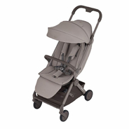 Детская коляска ANEX AIR-Q (AQ-07) Crumbly