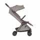 Детская коляска ANEX AIR-Q (AQ-07) Crumbly
