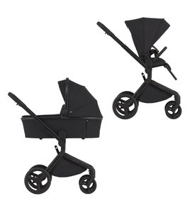 Детская коляска ANEX Flo 2in1 (fl-05c) Lungo