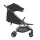 Коляска ANEX iQ (iQ-25) Starless