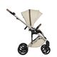 Коляска ANEX Eli 2in1 Muse (el-01) Коляска ANEX Eli 2in1 Muse (el-01)