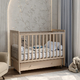 Antemi Кровать Classic Sleep Premium 120х60 ящик+универсальный маятник цвет: Капучино Antemi Кровать Classic Sleep Premium 120х60 ящик+универсальный маятник цвет: Капучино