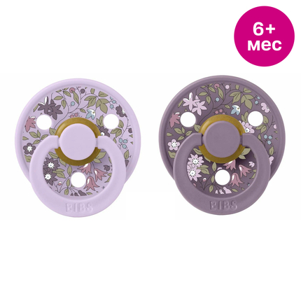 BIBS 221112101 Набор пустышек, Liberty Colour Anatom, 2 шт.Chamomile Lawn-Violet Sky/Mauve, 6+ мес.