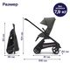 Коляска прогулочная Bugaboo Dragonfly complete BLACK/FOREST GREEN 100176026