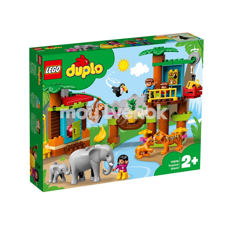 10906