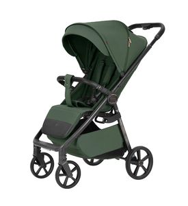 Carrello Bravo Коляска Сarbon Tropic Green CRL-5530