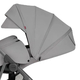 Carrello Costa Коляска Platinum Grey CRL- 5534 Carrello Costa Коляска Platinum Grey CRL- 5534