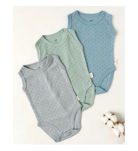 Carrot Боди тройка 10002156 Carrot Боди тройка 10002156