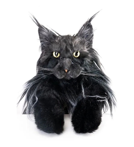 Chongker Рюкзак-игрушка реалистичная кошка Мэйн-Кун