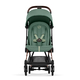 Детская коляска Cybex Coya Rosegold Leaf green с дождевиком и бампером
