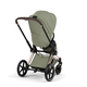 Коляска Priam 5 Style Rosegold 2 в 1 Sage Green