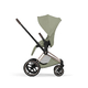 Коляска Priam 5 Style Rosegold 2 в 1 Sage Green