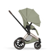 Коляска Priam 5 Style Rosegold 2 в 1 Sage Green