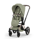 Коляска Priam 5 Style Rosegold 2 в 1 Sage Green