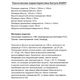 Happy Hop Надувной батут "Попрыгун 2" 9309Y