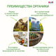 HIPP Фруктовый десерт с манго, 100г HIPP Фруктовый десерт с манго, 100г