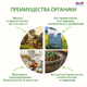 HIPP Фруктовое пюре яблоко с грушей, 100г