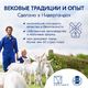 Сухой молочный напиток Kabrita 3 Gold на основе козьего молока, 400гр