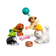 LEGO Friends Водный парк для домашних животных