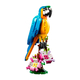 LEGO Экзотический попугай (3 в 1) LEGO Экзотический попугай (3 в 1)