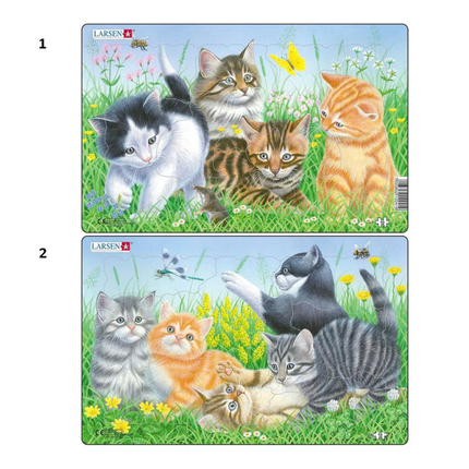 LARSEN CU5 - Котята (2) LARSEN CU5 - Котята (2)