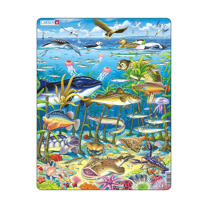 LARSEN FH13 - Водоросли LARSEN FH13 - Водоросли