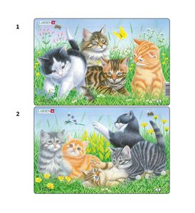 LARSEN CU5 - Котята (2)