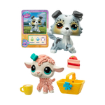 Littlest Pet Shop Игровой набор "Пара друзей" Пикник у коттеджа