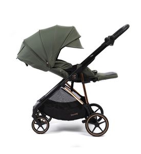 Прогулочная коляска Peppy Amici Green (рама Gold LX) Прогулочная коляска Peppy Amici Green (рама Gold LX)