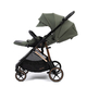 Прогулочная коляска Peppy Amici Green (рама Gold LX)