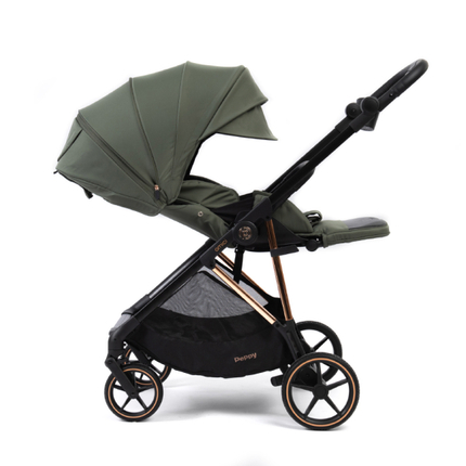 Прогулочная коляска Peppy Amici Green (рама Gold LX)