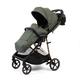 Прогулочная коляска Peppy Amici Green (рама Gold LX)