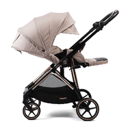 Прогулочная коляска Peppy Amici Beige (рама Gold)