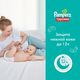 Pampers Pants Mega Pack 7, 40 шт